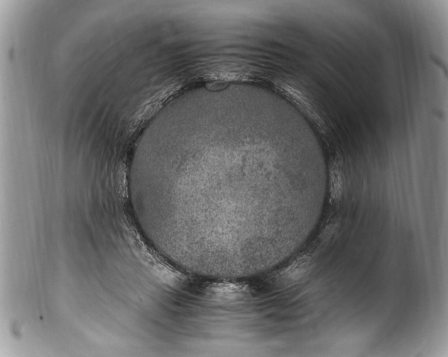 X0000100420453200806201827