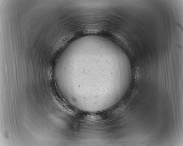 X0000100420455200806201827