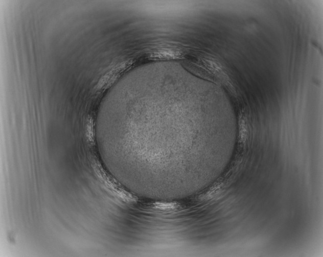 X0000100420457200806201827