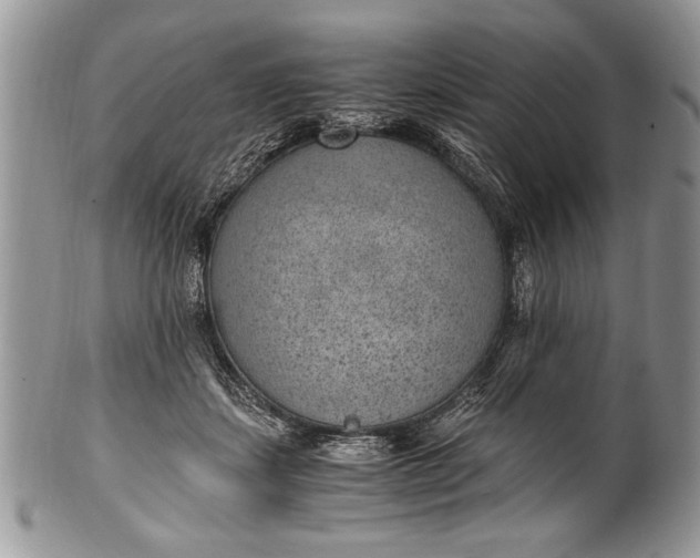 X0000100420459200806201827
