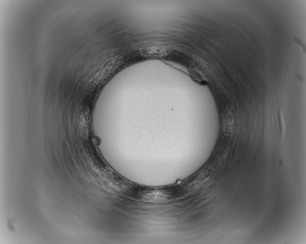 X0000100420460200806201827