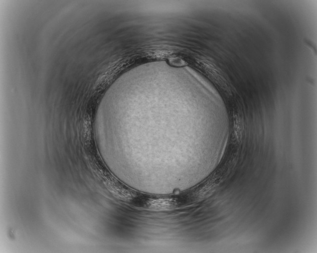 X0000100420461200806201827