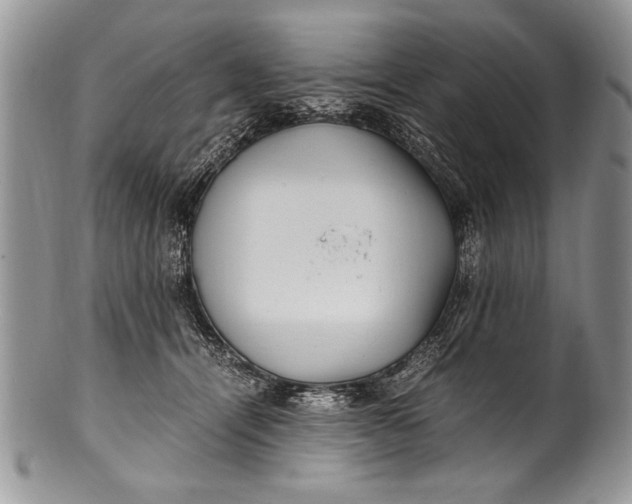 X0000100420464200806201827