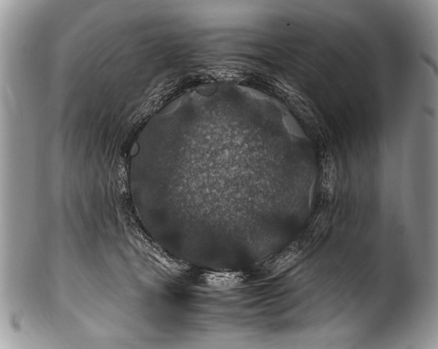 X0000100420465200806201827