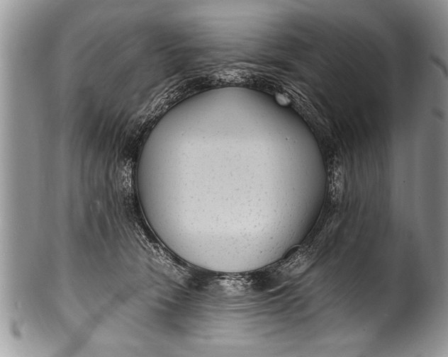 X0000100420466200806201827