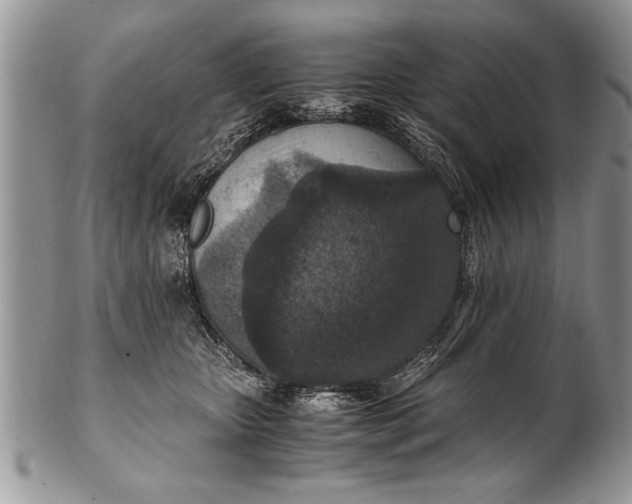 X0000100420467200806201827