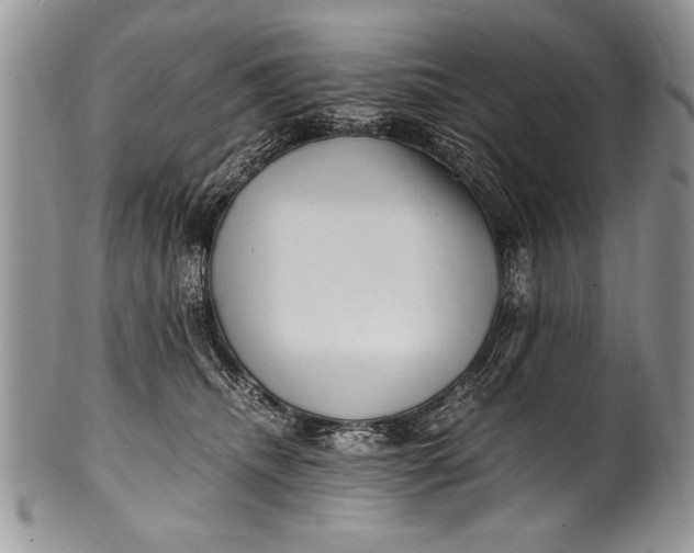 X0000100420468200806201827