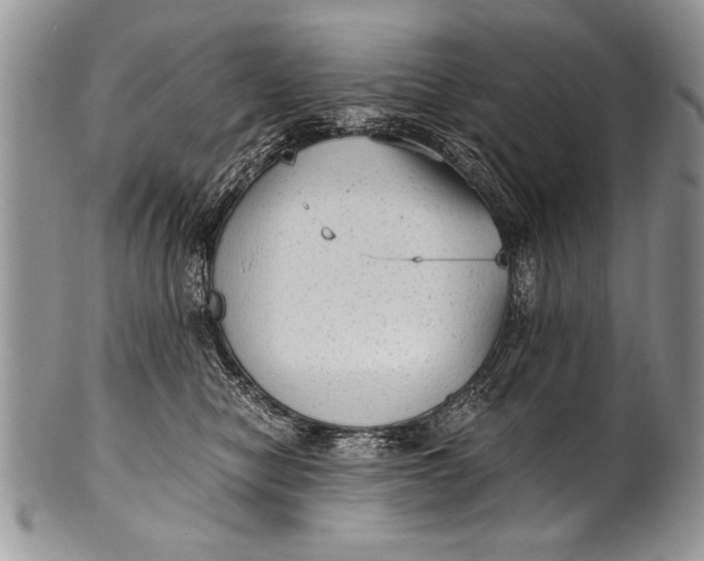 X0000100420470200806201827