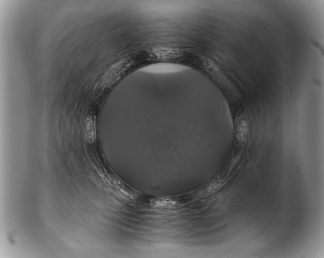 X0000100420471200806201827