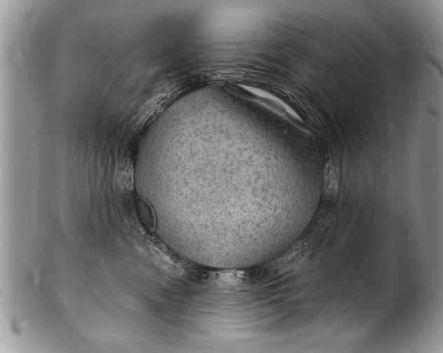 X0000100420474200806201827