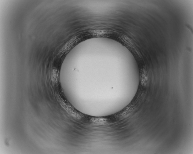 X0000100420476200806201827