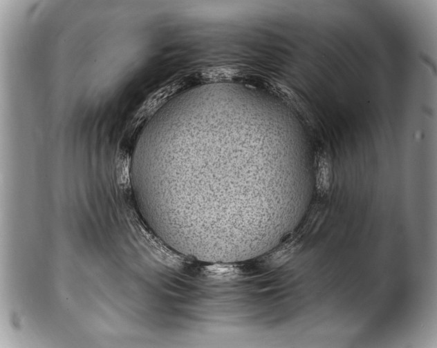 X0000100420477200806201827