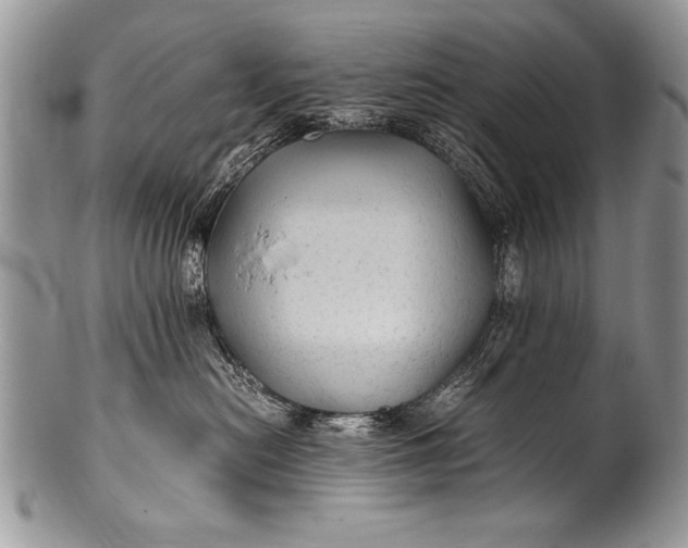 X0000100420478200806201827