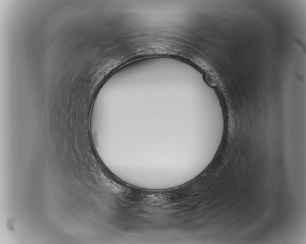 X0000100420481200806201826