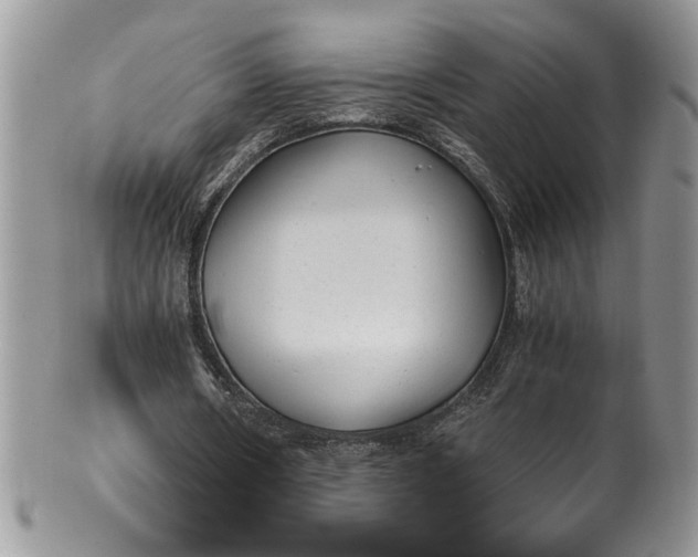 X0000100420482200806201826