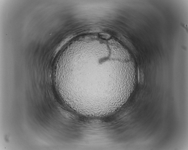 X0000100420483200806201826