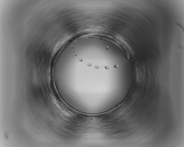X0000100420486200806201826
