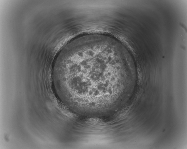 X0000100420487200806201826