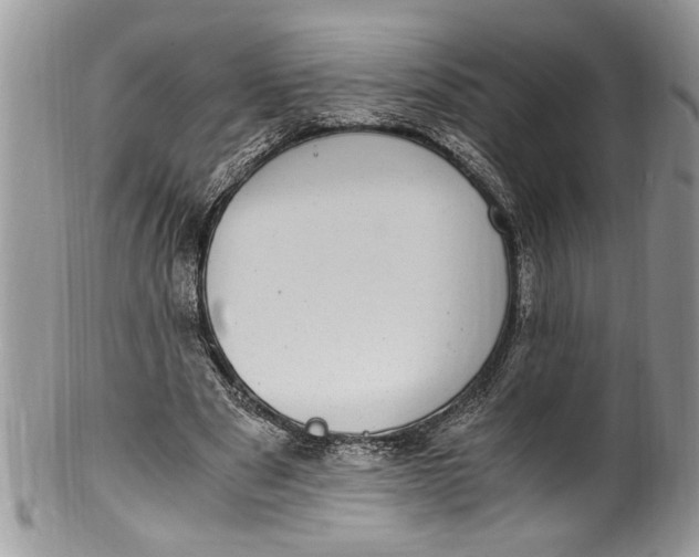 X0000100420489200806201826