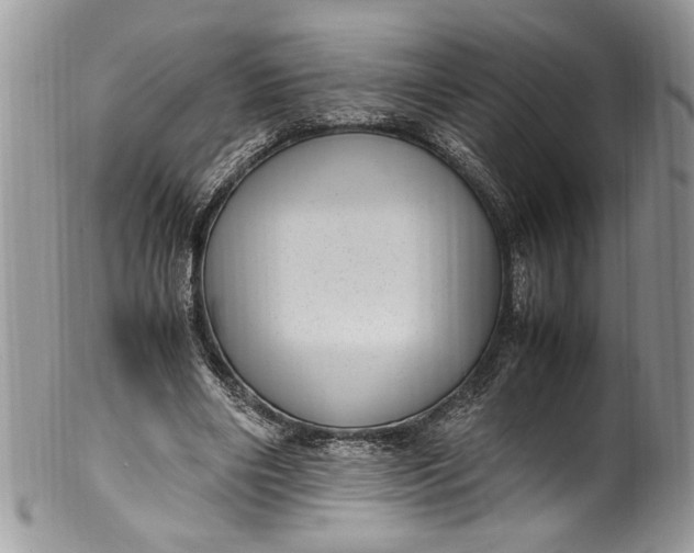 X0000100420490200806201826