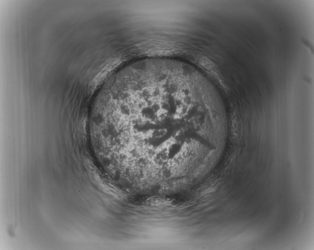 X0000100420491200806201826