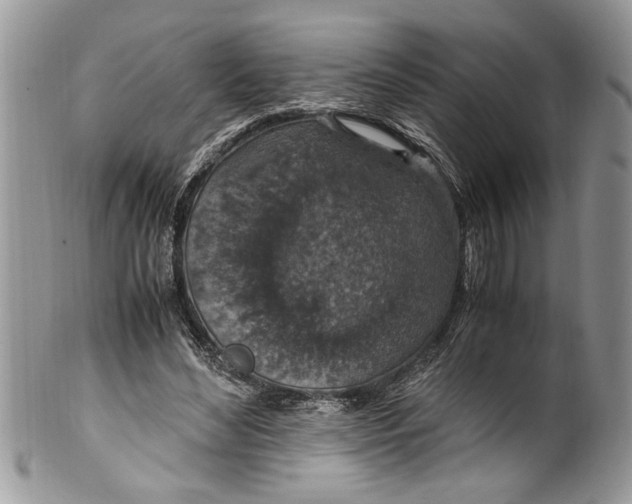 X0000100420492200806201826