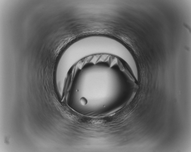 X0000100420495200806201826