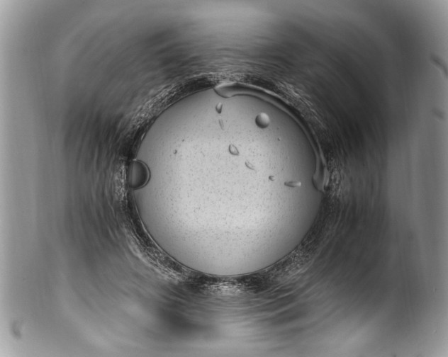 X0000100420498200806201826
