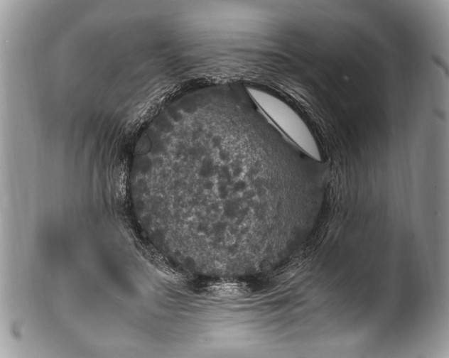 X0000100420499200806201826