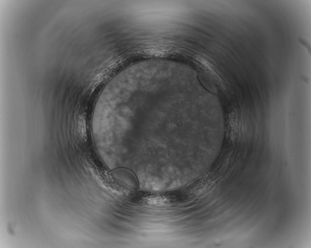 X0000100420500200806201826