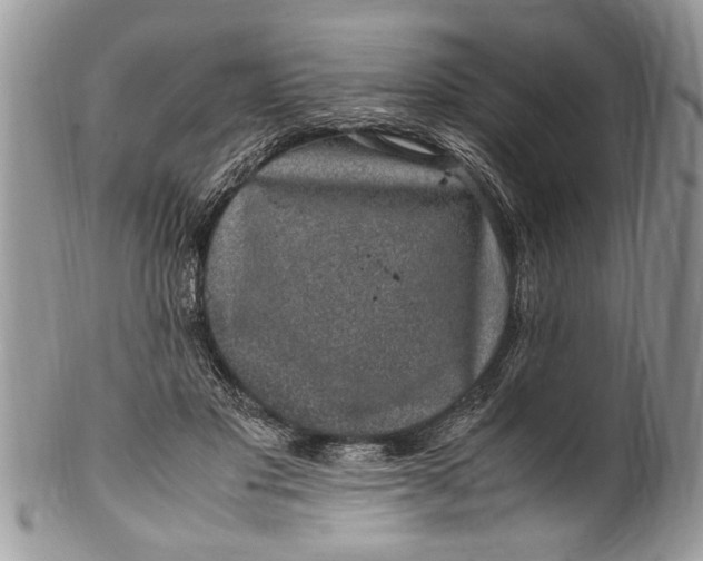 X0000100420501200806201826