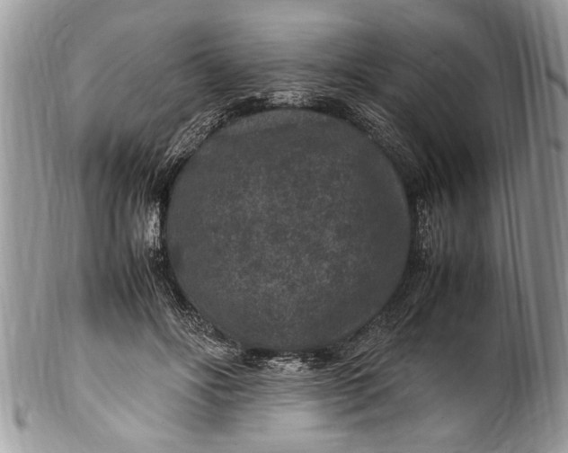 X0000100420502200806201826