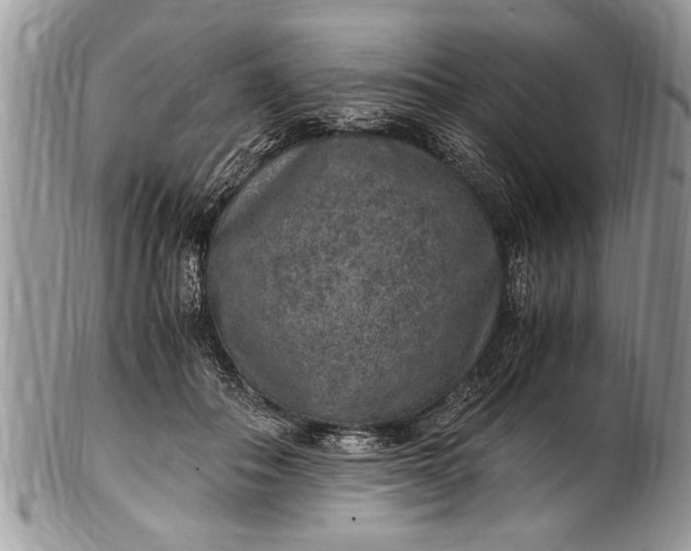 X0000100420506200806201826