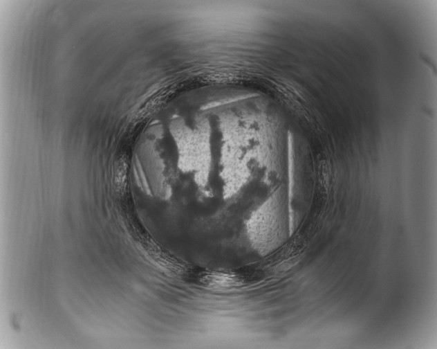 X0000100420507200806201826