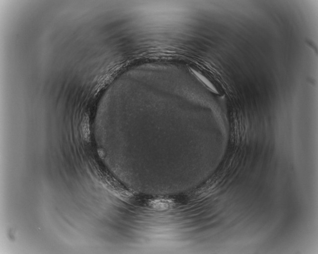 X0000100420508200806201826