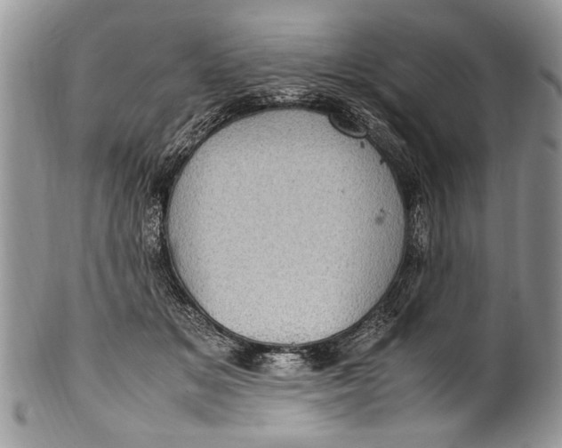 X0000100420509200806201826