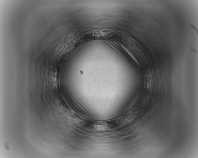 X0000100420510200806201826