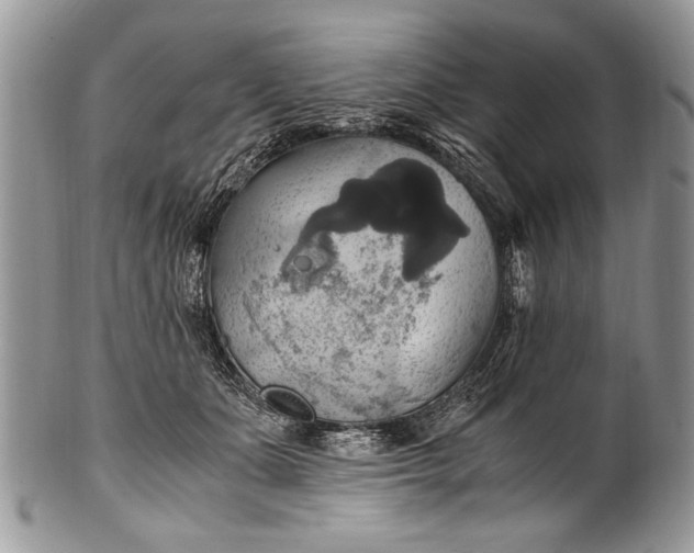 X0000100420511200806201825