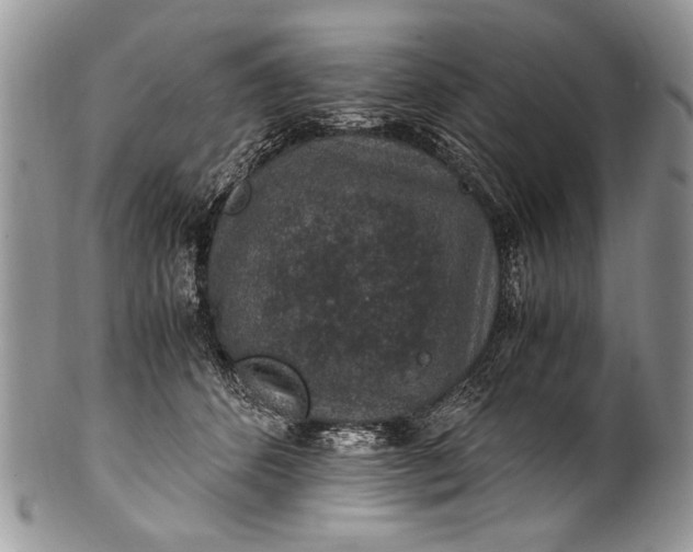 X0000100420512200806201825