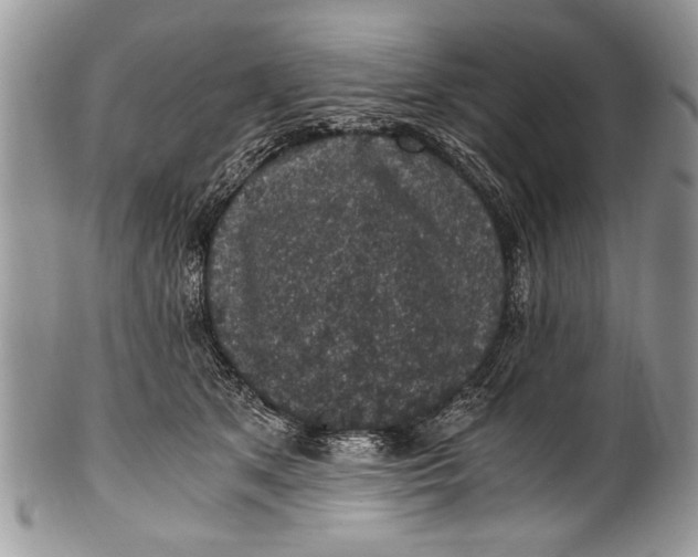 X0000100420513200806201825