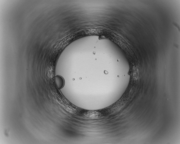 X0000100420514200806201825