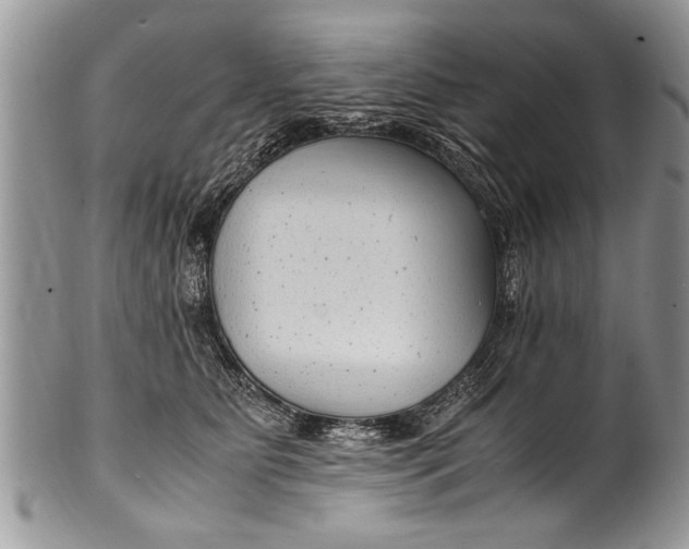 X0000100420515200806201825