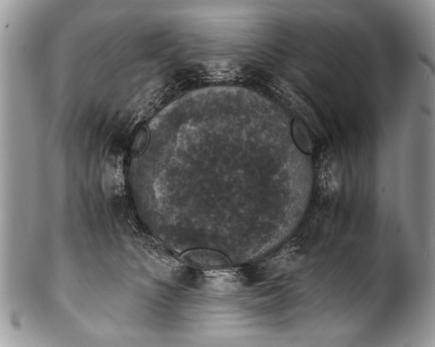 X0000100420516200806201825