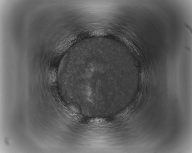 X0000100420517200806201825
