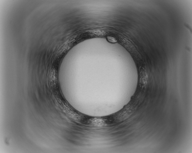 X0000100420518200806201825