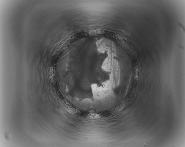 X0000100420519200806201825