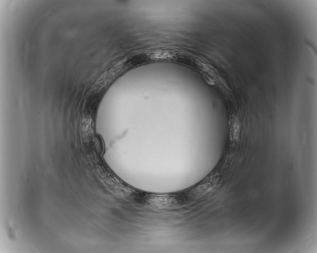 X0000100420521200806201825