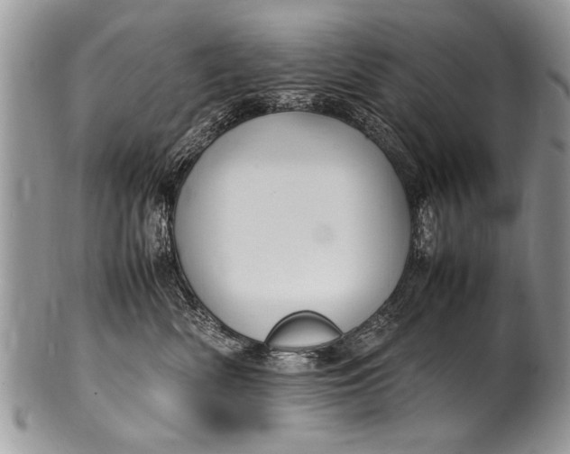 X0000100420522200806201825