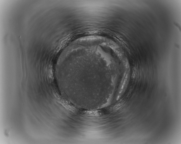 X0000100420524200806201825