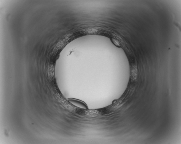 X0000100420525200806201825